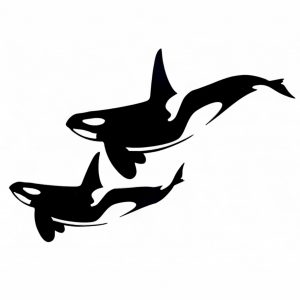 The Orca Whale Pair-Metal Artwork