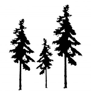 The West Coast Pine Tree- Metal Artwork