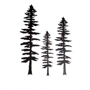 The Sitka Tree- Wall design